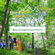 【夏休み2021】森の夏休み体験プラン、ホテルグリーンプラザ軽井沢に登場 画像