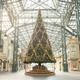 巨大ツリーで演出「ディズニー・クリスマス」3年ぶり開催 画像