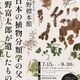 NHK「らんまん」モデル、牧野富太郎の植物標本展示…都立大 画像