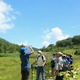 【夏休み2023】栂池自然園、親子で学ぶ「MIKKETA！」7/15-8/31 画像