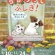 秋の企画展「絵本から考えるネコとイヌ」9-11月…港区立みなと科学館 画像