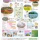 【GW2026】フラワーフェスティバル、国営昭和記念公園5/24まで 画像