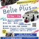【夏休み2026】高校生対象「素粒子サイエンスキャンプ」茨城8/4-7 画像