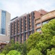 【大学受験2027】医学が学べる関東の大学「オープンキャンパス」東京科学大など10選 画像