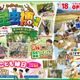 【夏休み2026】約100匹が集結「昆虫博」富士見台高原 画像