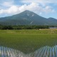 【夏休み2026】磐梯町の教育環境と教育移住を紹介、渋谷でイベント7/26 画像