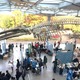 「大阪自然史フェスティバル」11/14-15、大阪市立自然史博物館 画像