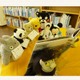 ぬいぐるみのお泊り会、全国の図書館で人気 画像