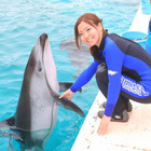 【夏休み】鴨川シーワールド「イルカのふれあい体験」参加受付中 画像