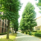 高校生約7割、学園祭「行ってみたい」…校風やサークルに注目 画像