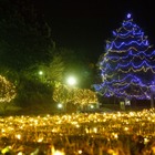 キャンパスにクリスマスの灯り…2015年大学イルミネーション情報 画像