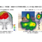 若年層は「縦書き文字」を読み飛ばす… 脳と視点から世代傾向を調査 画像