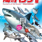 【招待券プレゼント】ホホジロザメを間近で観察「海のハンター展」7/8より 画像