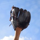 【高校野球2017春】春の選抜高校野球、出場32校の組み合わせが決定 画像