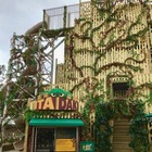 【春休み2017】ツインリンクもてぎ「迷宮森殿 ITADAKI」OPEN、森の生態系がテーマ 画像