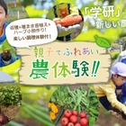 収穫や調理体験…学研「親子でふれあい農体験」9/9川越、10/21横浜 画像