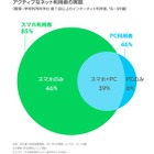 10代のネット利用、スマホのみが7割 画像
