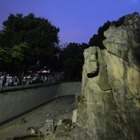 【夏休み2017】夜の動物園・ナイトズー、東京・神奈川・大阪の6園を特集 画像