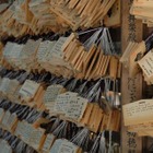 【中学受験】首都圏の中学入試がまもなくスタート 画像