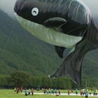 「大科学実験」で使用した装置や器具が未来館に集結 画像