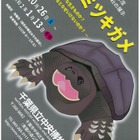千葉県立中央博物館、外来種「カミツキガメ」展示 画像