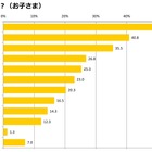 親子で異なるお正月のイメージ、母親には悩みも 画像