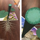 市進「親子で学ぶAR理科実験」自宅で参加可 画像