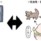 早産の赤ちゃんの社会性発達に関わるリスクマーカーを発見 画像