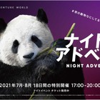 【夏休み2021】夜の動物鑑賞「ナイトアドベン」和歌山 画像