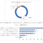困窮子育て家庭、給食ない夏休み「不安」87％ 画像