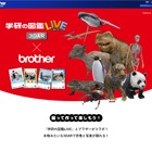 学研の図鑑LIVE×ブラザー、年賀状等が作れるダウンロードコンテンツ公開 画像