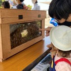 SDGsイベント「ダヴィネスと考えよう ミツバチと地球の未来 」6/11-12 画像
