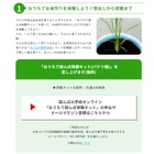 宝酒造、お米作り「田んぼ体験キット」先着200家族に配布 画像