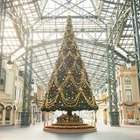 巨大ツリーで演出「ディズニー・クリスマス」3年ぶり開催 画像