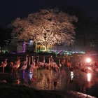 【春休み2023】東武動物公園「春のナイトZOO」4日間限定 画像