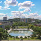 実践的カリキュラムや充実した奨学金制度、韓国留学という選択 画像