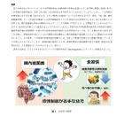 京都大学、幼児期の感情制御に腸内細菌叢が関係と発表 画像