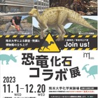 熊本大「恐竜化石コラボ展」入場無料、12/20まで 画像