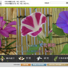 植物と昆虫の不思議な関係を学ぶ…つくば植物園9/15-23 画像