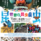 【夏休み2024】秋田県立博物館「世界の昆虫展」8/25まで 画像