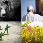 【中学受験2026】速報11・12月実施の入試「時事問題」ローマ教皇・近年の紛争・コメ・熊など 画像