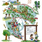 神奈川県立21世紀の森で学ぶ「森林ボランティア入門」 画像