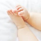 最難関・灘中が国語で投じた一石…パレスチナの現代詩から読み解く、今求められる読解力 画像