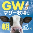 【GW2026】マザー牧場、GWは早朝から開園…羊200頭の大放牧も 画像