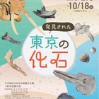 特別展「発見された東京の化石」日比谷図書文化館で8/29から 画像