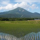 【夏休み2026】磐梯町の教育環境と教育移住を紹介、渋谷でイベント7/26 画像