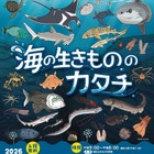 【夏休み2026】みなと科学館「海の生きもののカタチ」企画展9/13まで…実寸大エイも 画像