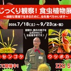 【夏休み2026】伊豆シャボテン動物公園「食虫植物展」7-9月…自由研究にも 画像