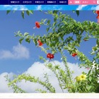 【大学受験】名桜大、得点集計ミス…合格者10人を誤って不合格に 画像