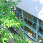 【中学受験】来月行ける中高一貫・女子校「学校見学」9月…豊島岡、フェリスなど 画像